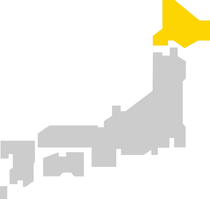 Hokkaido Expressway Pass (HEP) 