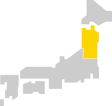 Tohoku Expressway Pass (TEP) 