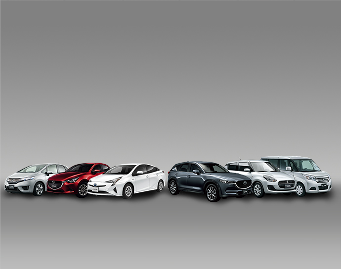 Chauffeur Services Marbella